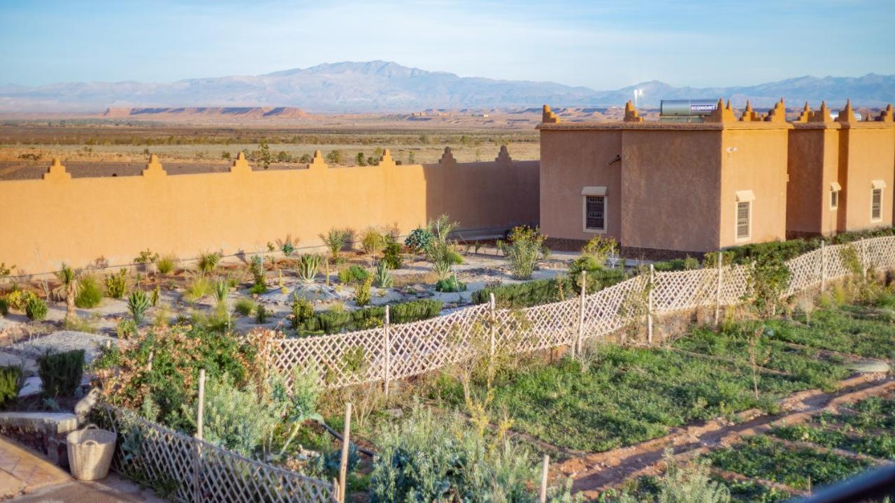 Ecolodge L'Ile De Ouarzazate Tarmigt Exterior foto